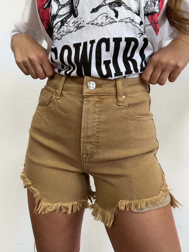Mocha High Rise Distressed High Rise Shorts