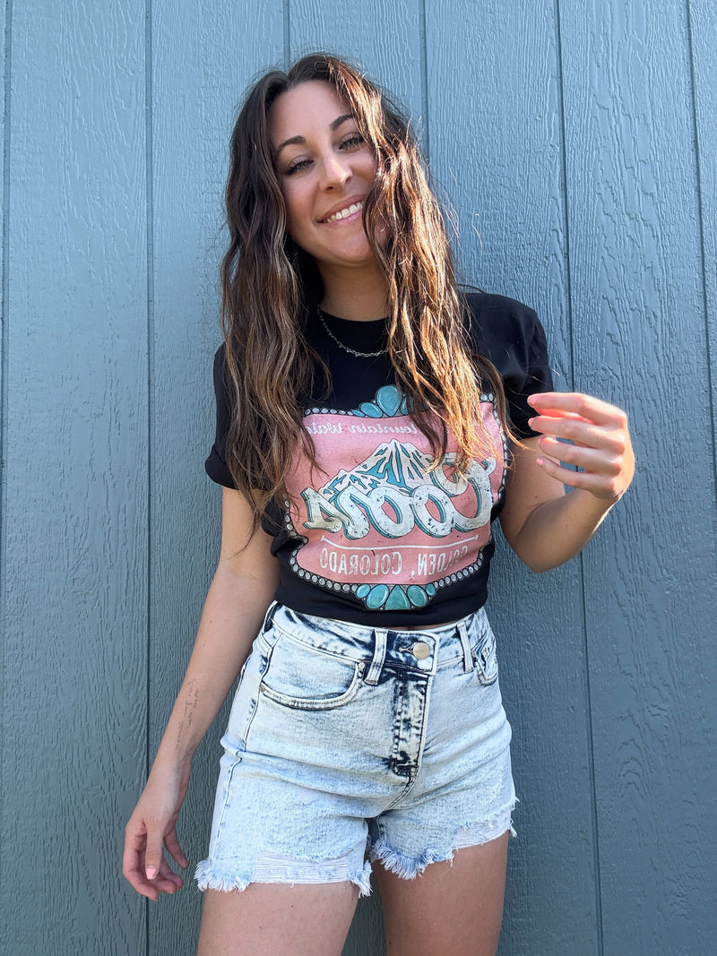 High Rise Distressed Acid Light Wash Shorts