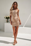 Mocha Embroidered Mini Dress With Cutouts