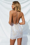 Eye Catching Dress (Silver/Nude)