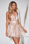 Rose Gold Soft Nude Mesh Deep V Sequin Overlay Dress
