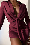 Ruby Shirt Mini Sheer Dress