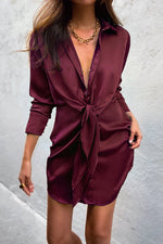 Ruby Shirt Mini Sheer Dress